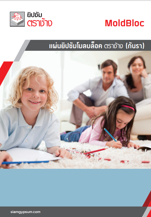 แผ่นยิปซัมโมลบล็อค ตราช้าง (กันรา)