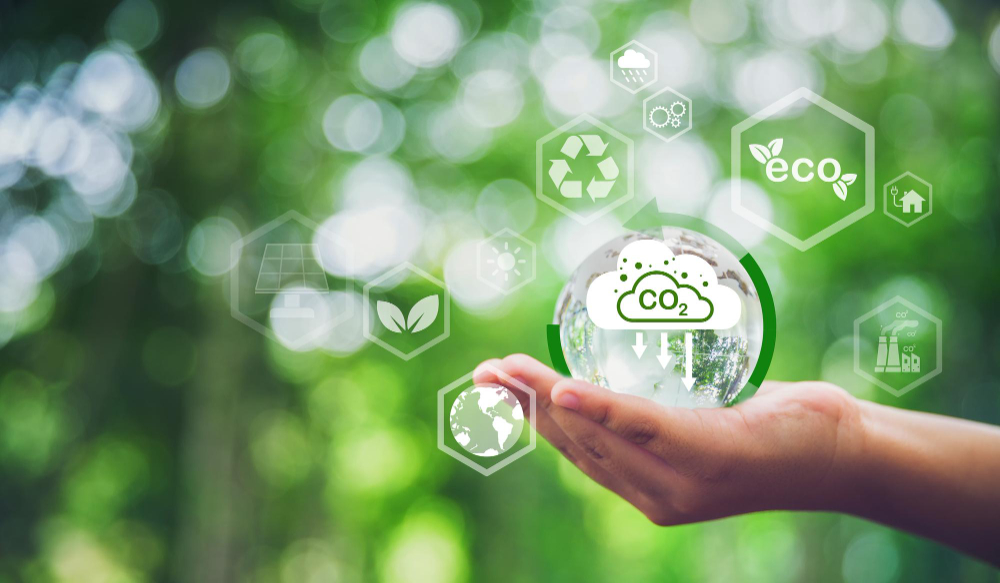 คาร์บอนฟรุตปริ้นขององค์กร